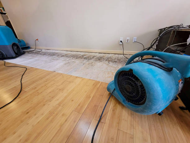 Professional Ceiling Water Damage Repair technician working in Tipp City, OH